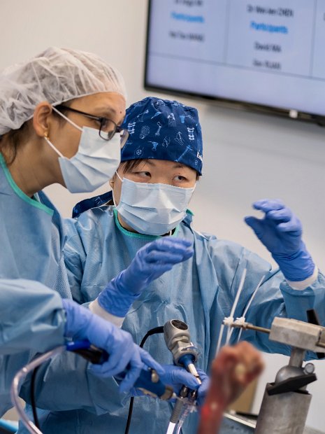 HK Wrist Course 2024 - Workshops  - 95 of 241